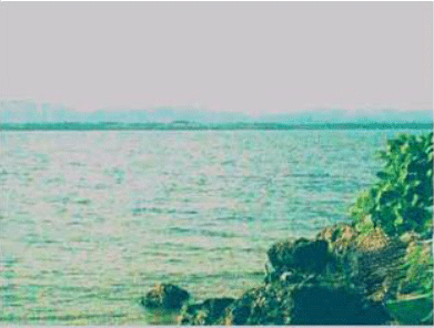 discvry-bay-seashore.gif