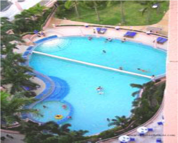 hilton-pool-arial-view.gif